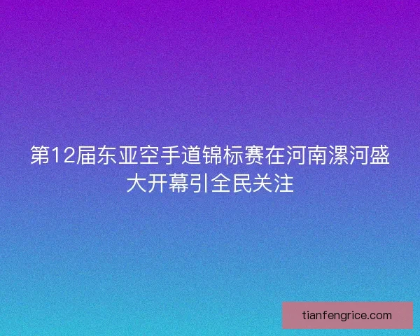 第12届东亚空手道锦标赛在河南漯河盛大开幕引全民关注