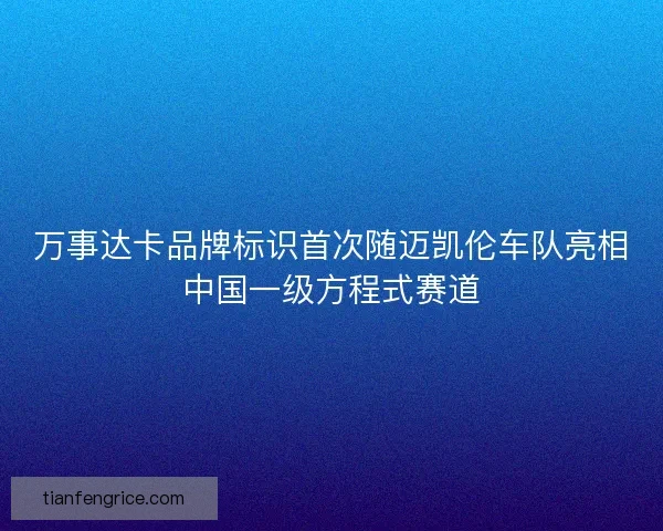 万事达卡品牌标识首次随迈凯伦车队亮相中国一级方程式赛道